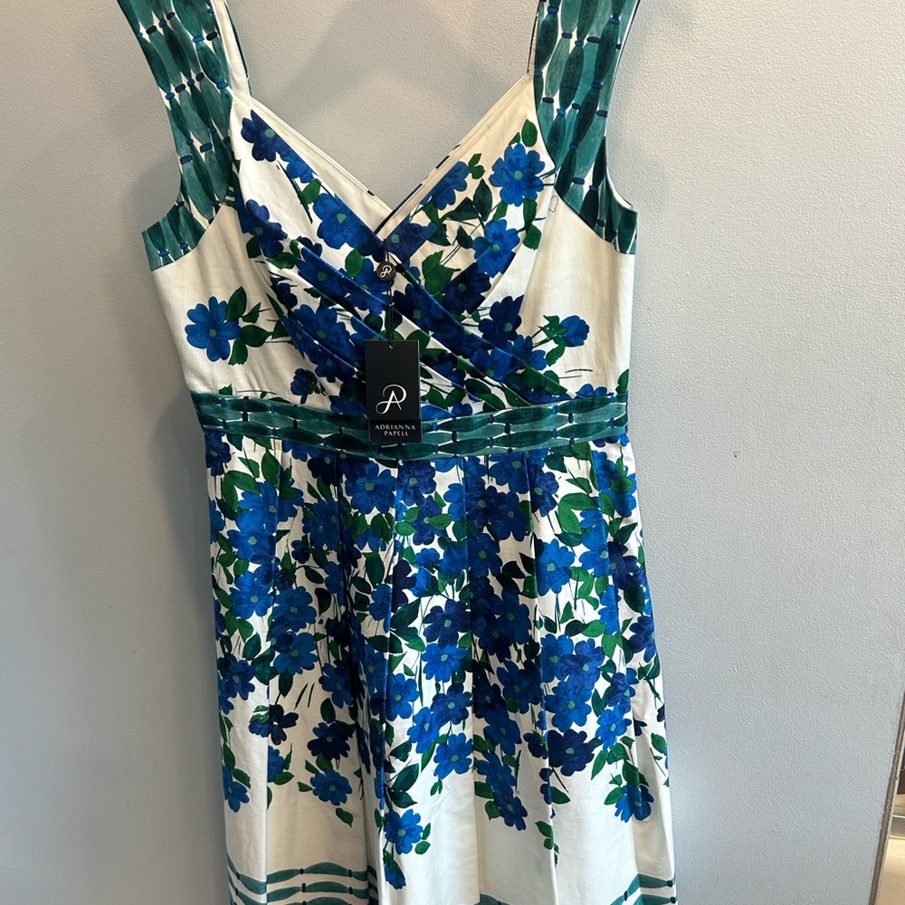 Adrianna Papell Green and Blue Floral Midi Dress